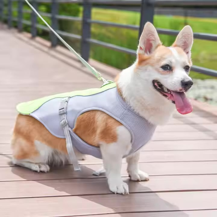 Dog Cooling Vest