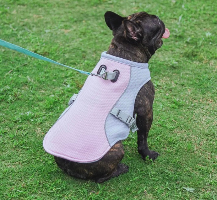 Dog Cooling Vest