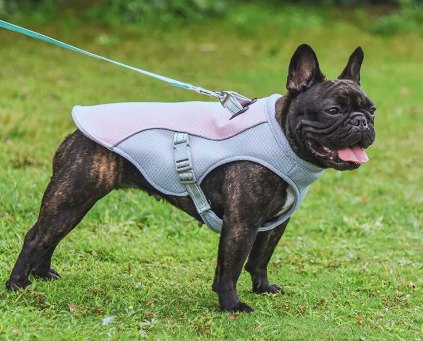 Dog Cooling Vest